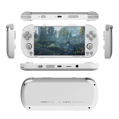 Trimui Smart Pro Handheld  Console-64G