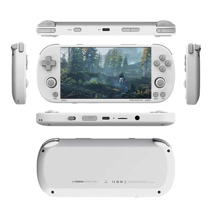Trimui Smart Pro 128G Handheld  Console